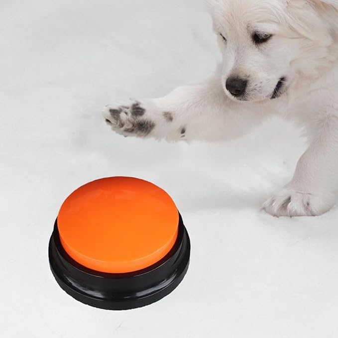 ChienParlant™ - Orange - Chien Expert