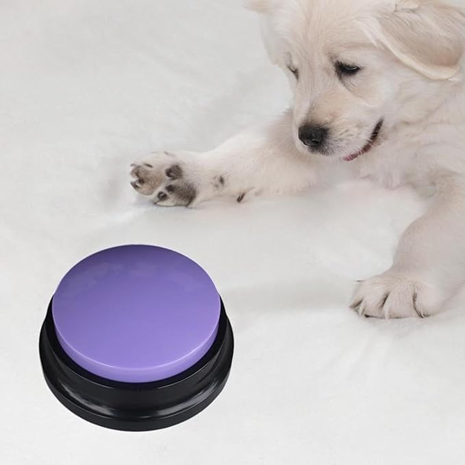 ChienParlant™ - Violet - Chien Expert