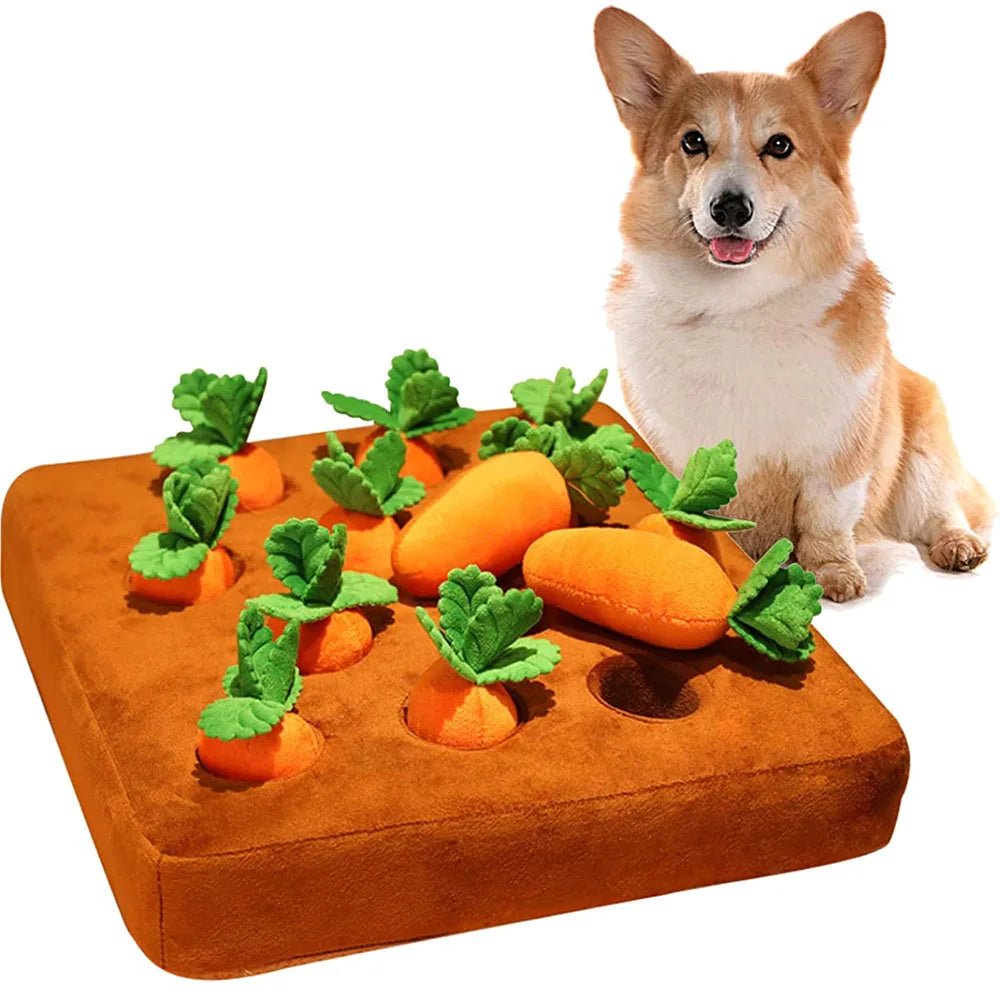 DogPlushCarrots™ - 12Pcs - Chien Expert