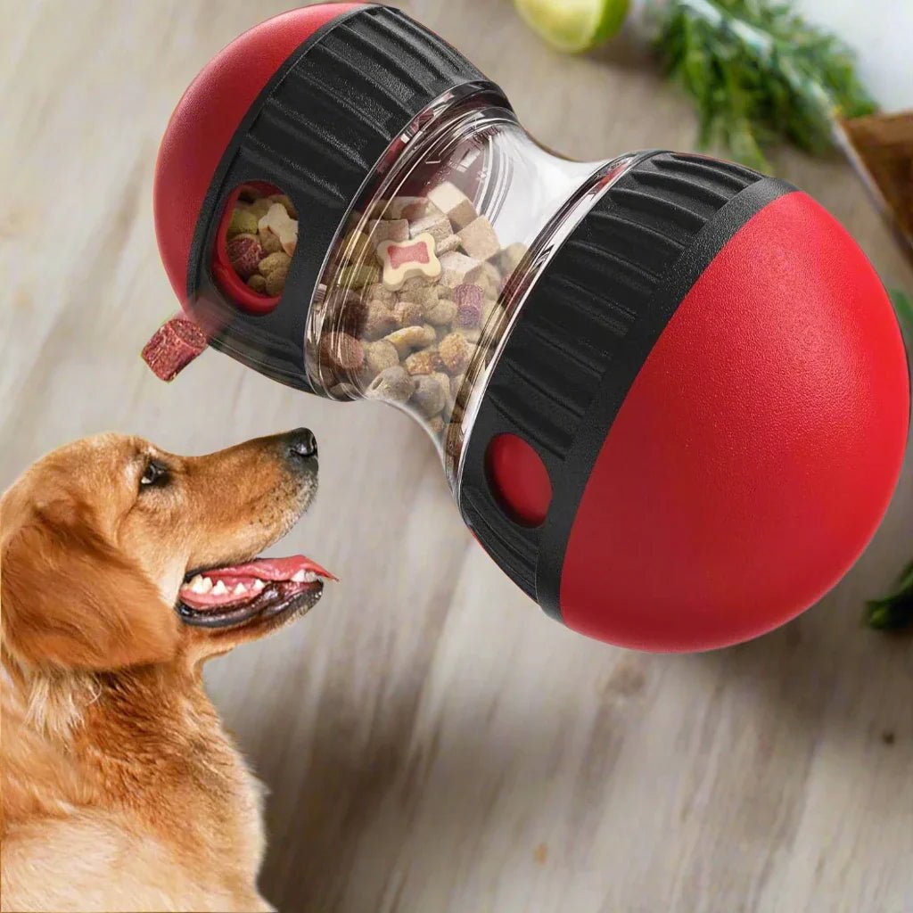 EllipticalDogPuzzleToy™ - Rouge - Chien Expert