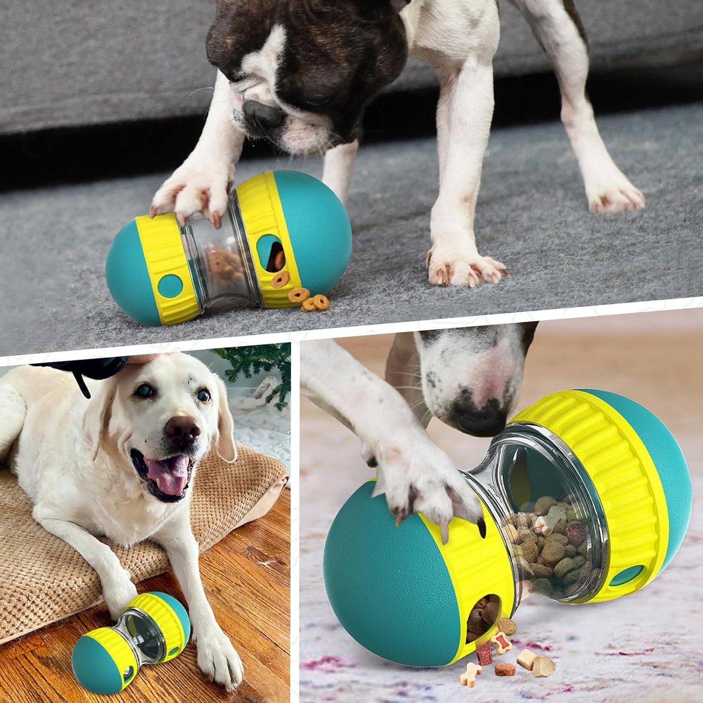 EllipticalDogPuzzleToy™ - Turquoise - Chien Expert