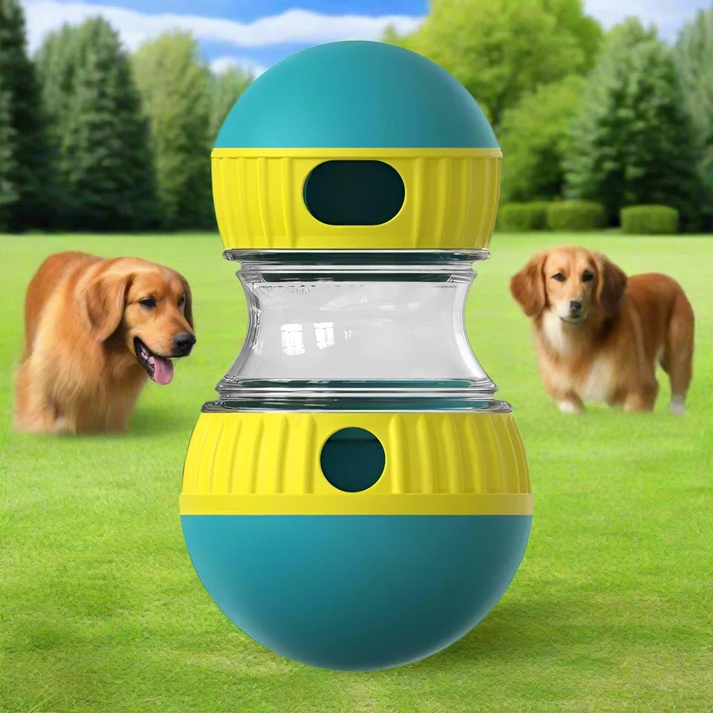 EllipticalDogPuzzleToy™ - Turquoise - Chien Expert